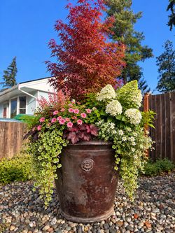 XLarge Planter Pot
