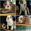 TRAVIESO