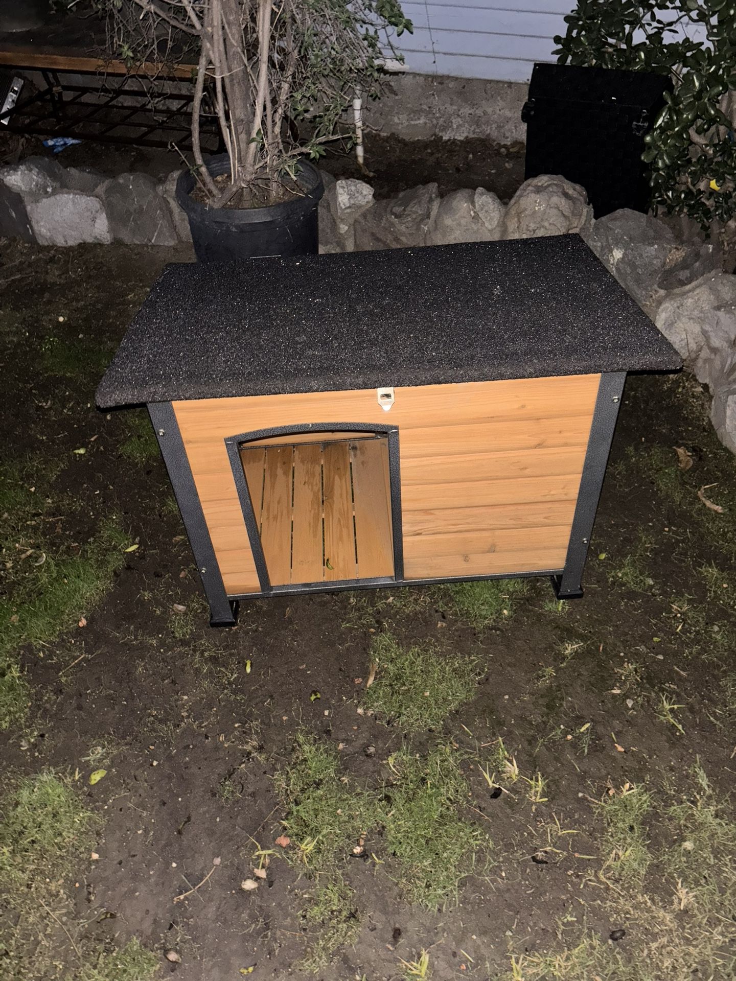 Dog House 
