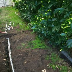 Need New Sprinklers Line Or Battery Timer 