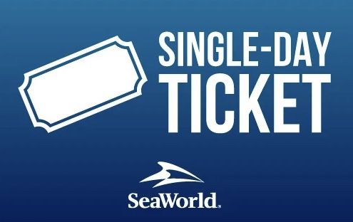 12 SEAWORLD 🐋