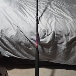 Calstar BT865XH 6.5' Foot 25-60lb Custom Wrapped Conventional Rod 