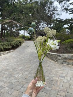 Glass Bud Vases, Various Sizes