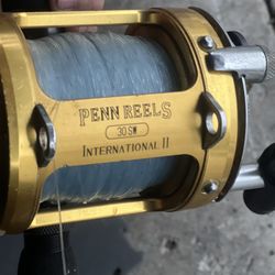 Fishing Rod