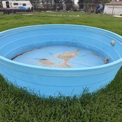 Huge water trough pool