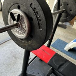 Weights And Bench 