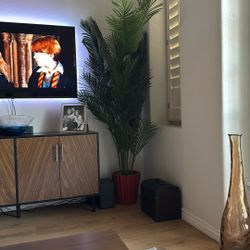 House Plant (fake)