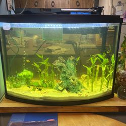 36 Gallon Bow Front Aquarium  With Stand