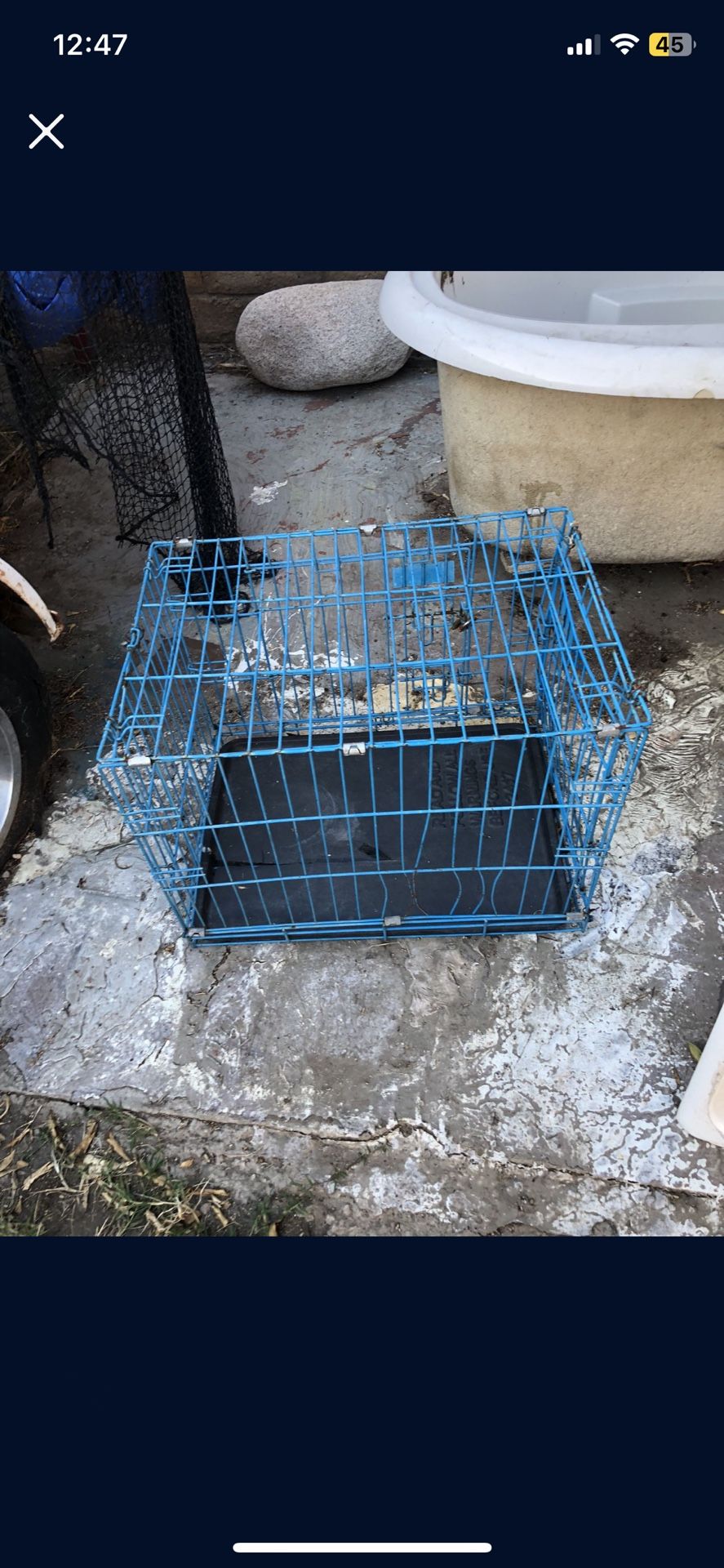 blue animal pet carrier 