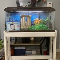Fish Tank + accessories (30 Gallons)