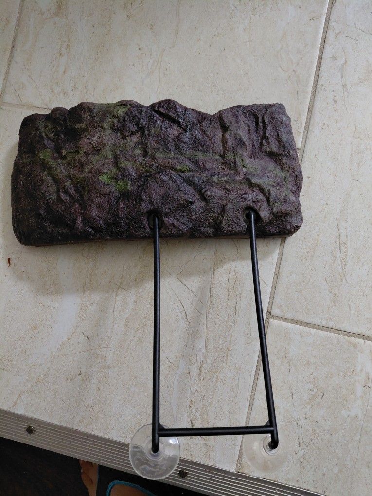 Turtle π’ Dock
