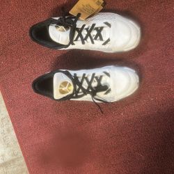 Jordan’s 38 xxxvviii Size 11