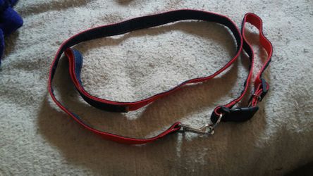 Dog leash