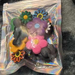 🐊 Crocks Charms