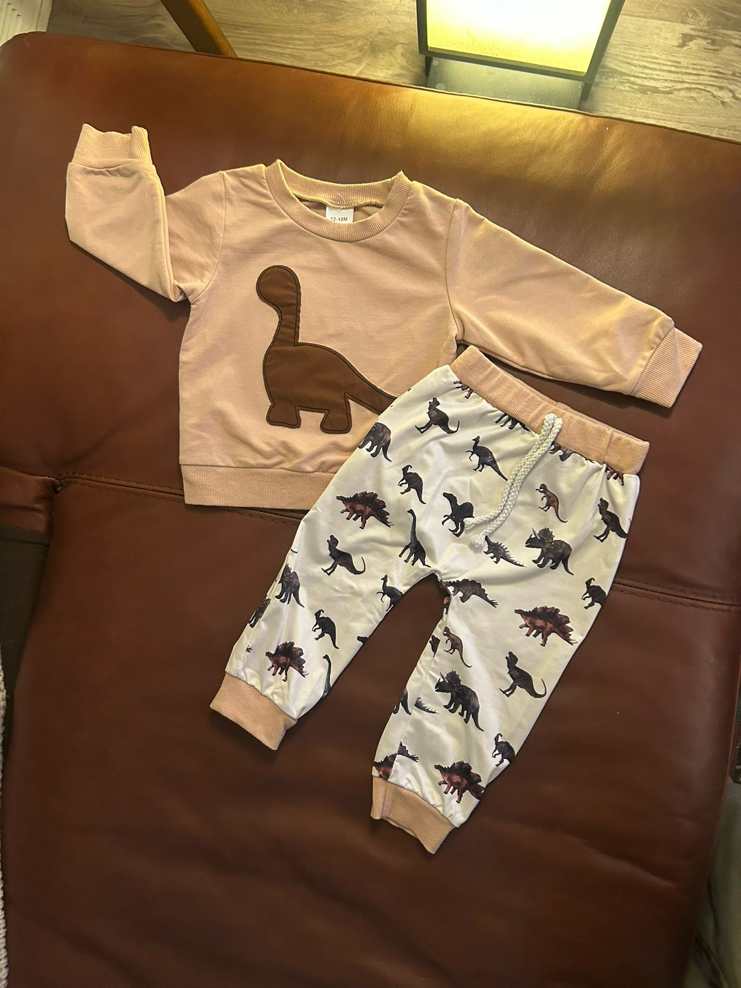 Cute Dinosaur Outfit Set - Sweatshirt & Joggers - [Size: 12 -18m]