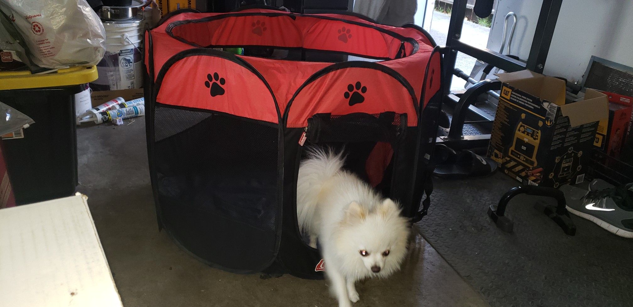 Dog play pen