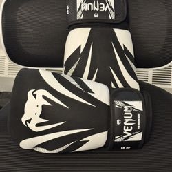 16oz Venus Pro Boxing Gloves