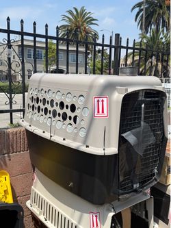 dog crates