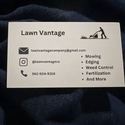 Custom Business Cards
