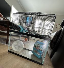 Hamster Condo, Exercise toys, Bottle Holder