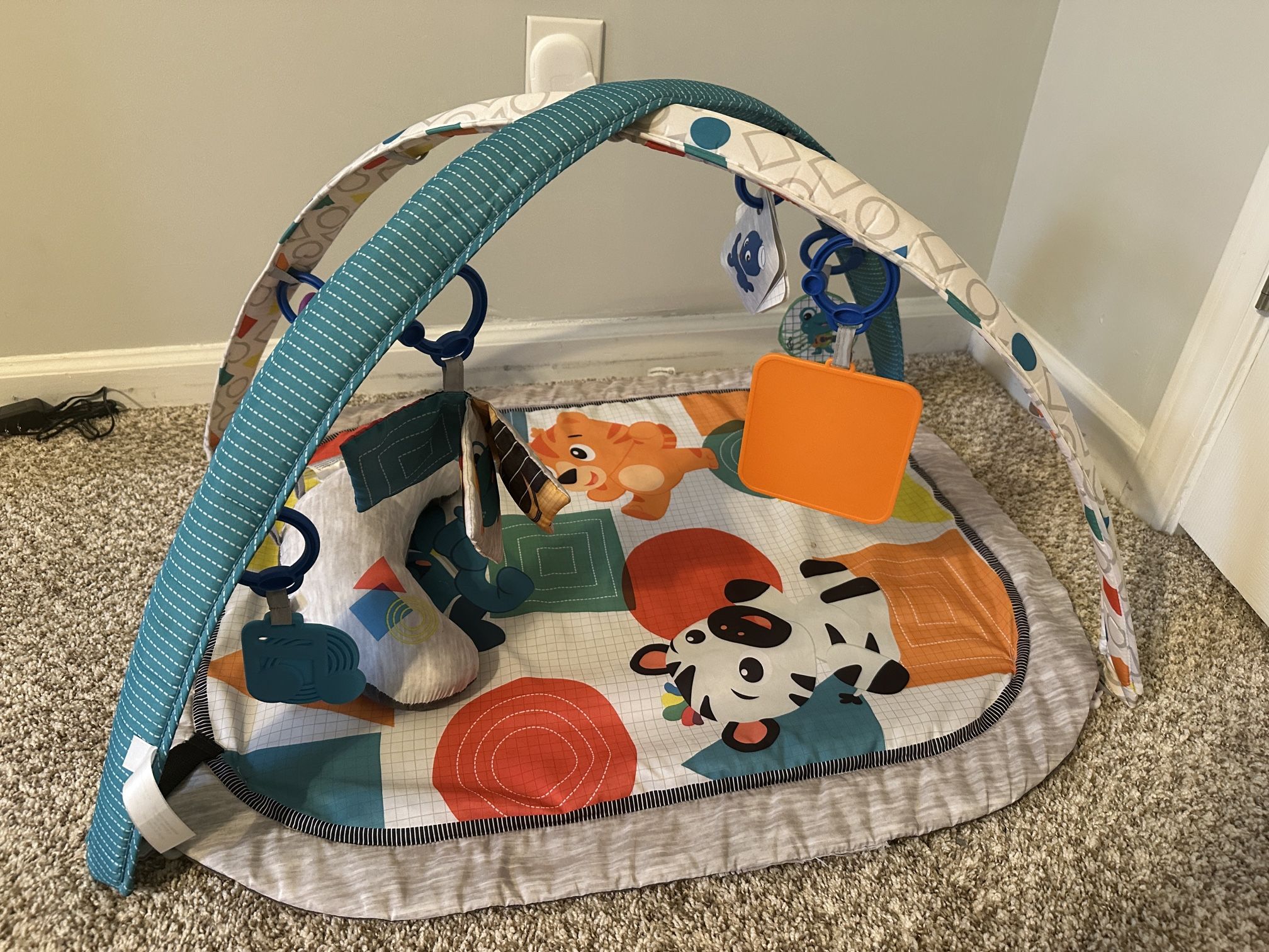 Baby Play Gym