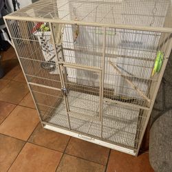Bird Cage 
