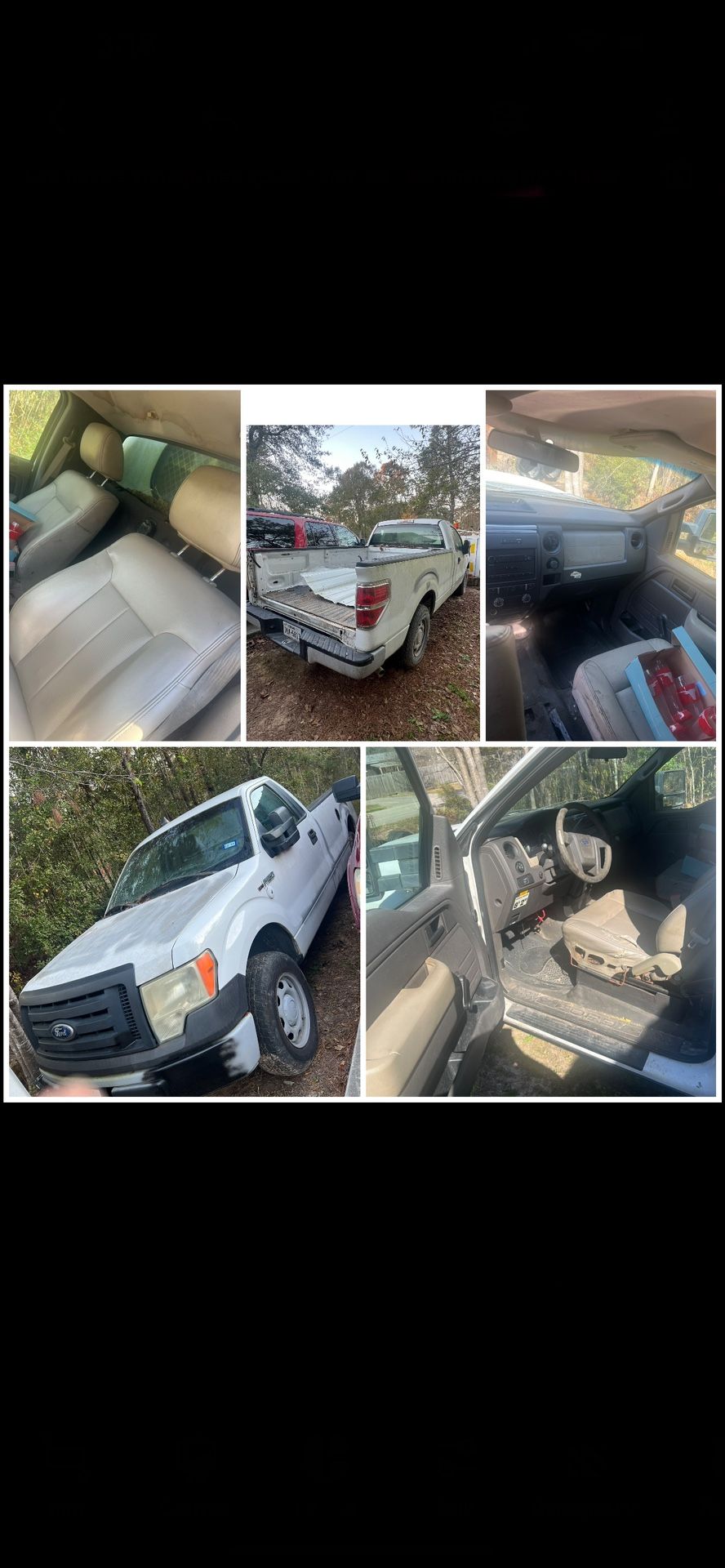 2010 Ford F-150