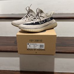 2022 Yeezy Boost 350 V2 'Slate'
