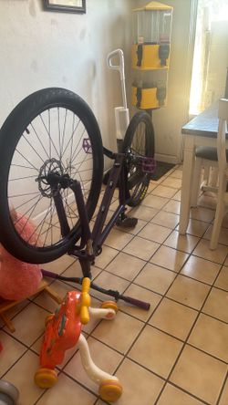 29er giant