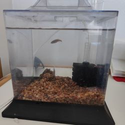 Fish Tank Including Everything With Fish