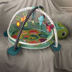 Baby Activity Mat and Ball Pit