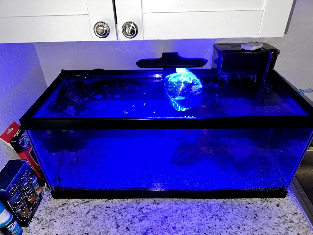 Aquarium Set up