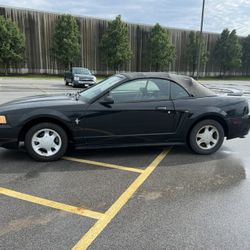 2000 Ford Mustang