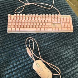 Lighting Wired Keyboard And Mouse 