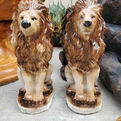 Lions for sale