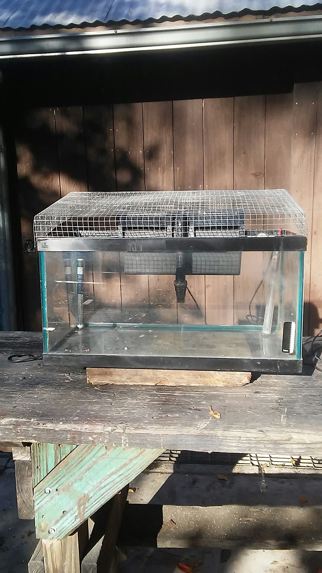 Fish Aquarium