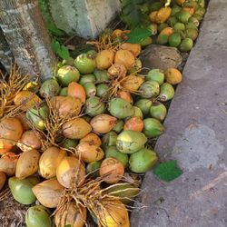 Coco Agua Fresco