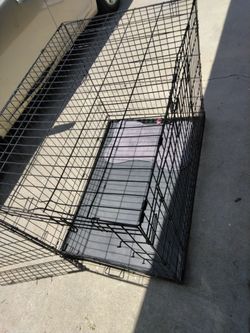 Dog 🐩cage XL