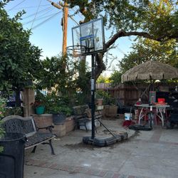 Basketball Hoop 