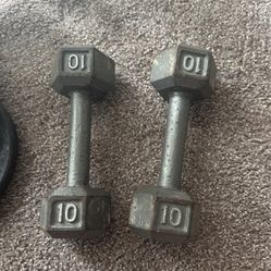 Set of 10 lb Weights 