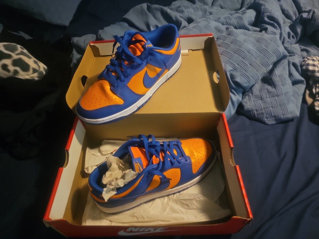 Dunks Size 11