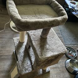 Cat House
