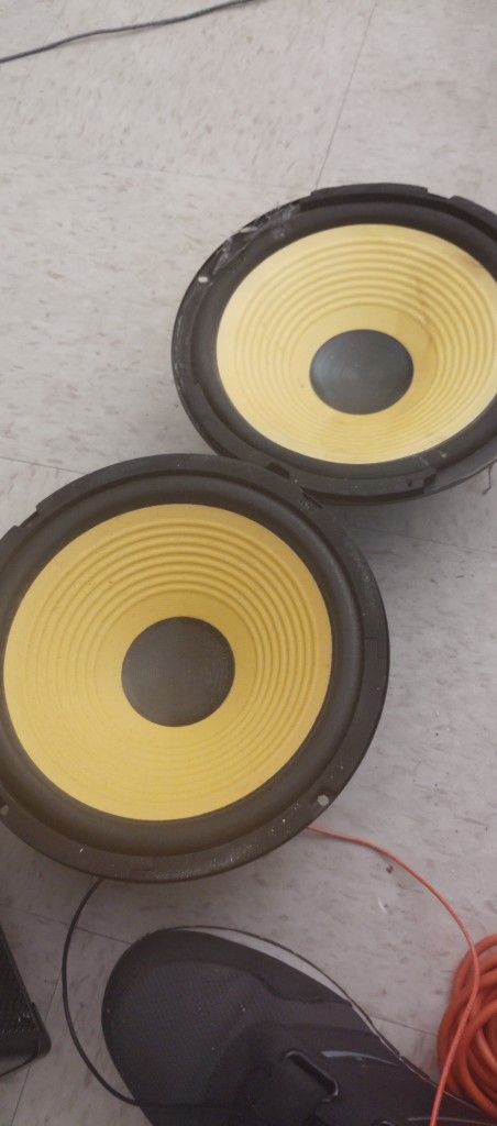 Two 10" Music Speaker
