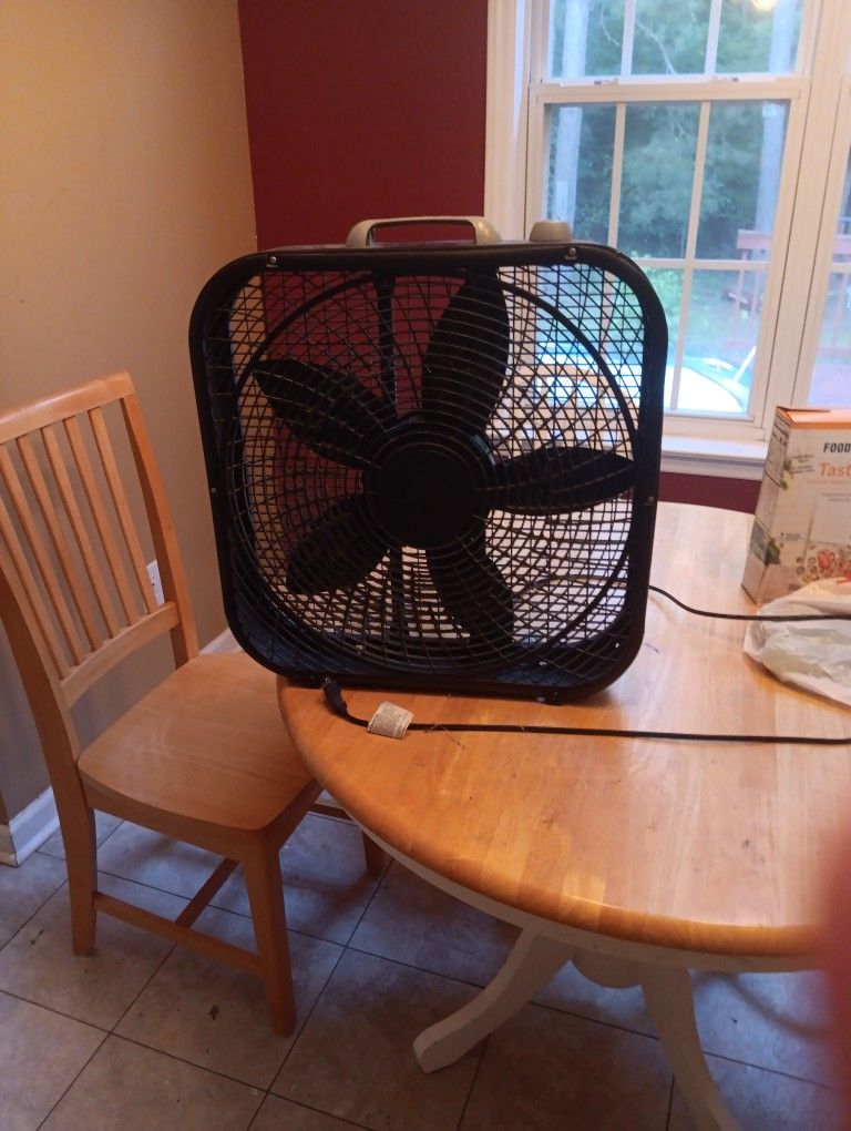Fan