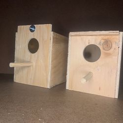 Parakeet Nest 