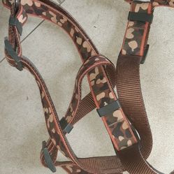 Dog Body Leash
