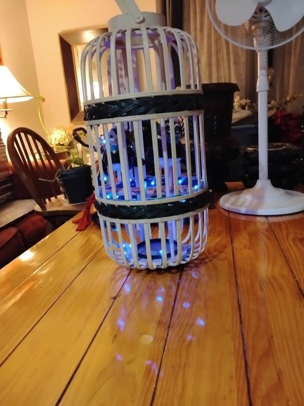 Bird Cage With Lights