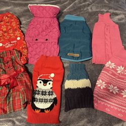 Assorted Dog Clothes