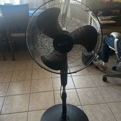 Fan