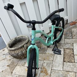 Salty Bike